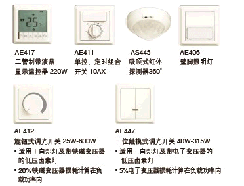 ABB(ABB)　開關(guān)插座　AE429