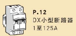 TCL(TCL)　微型断路器　DX-C10/2