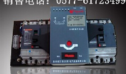 施耐德(SCHNEIDER)　双电源　WATSNB-100/63 3CBR