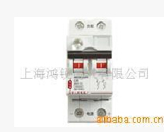 北京人民电器(SECURELUCKY)　微型断路器　GMG100-3P32A