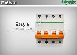 施耐德(SCHNEIDER)　微型斷路器　EA9AN4C20